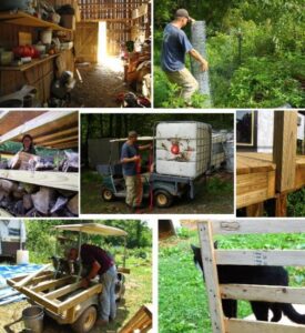 Porch Building and Deer Pressure Image